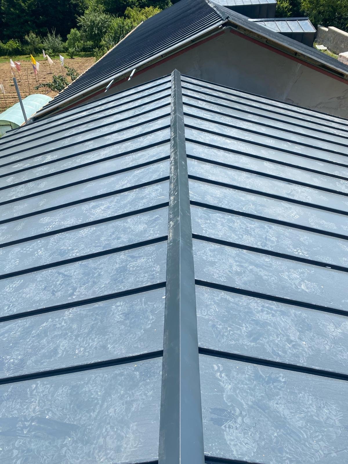 WhatsApp Image 2024-03-04 at 9.43.05 PM (1)