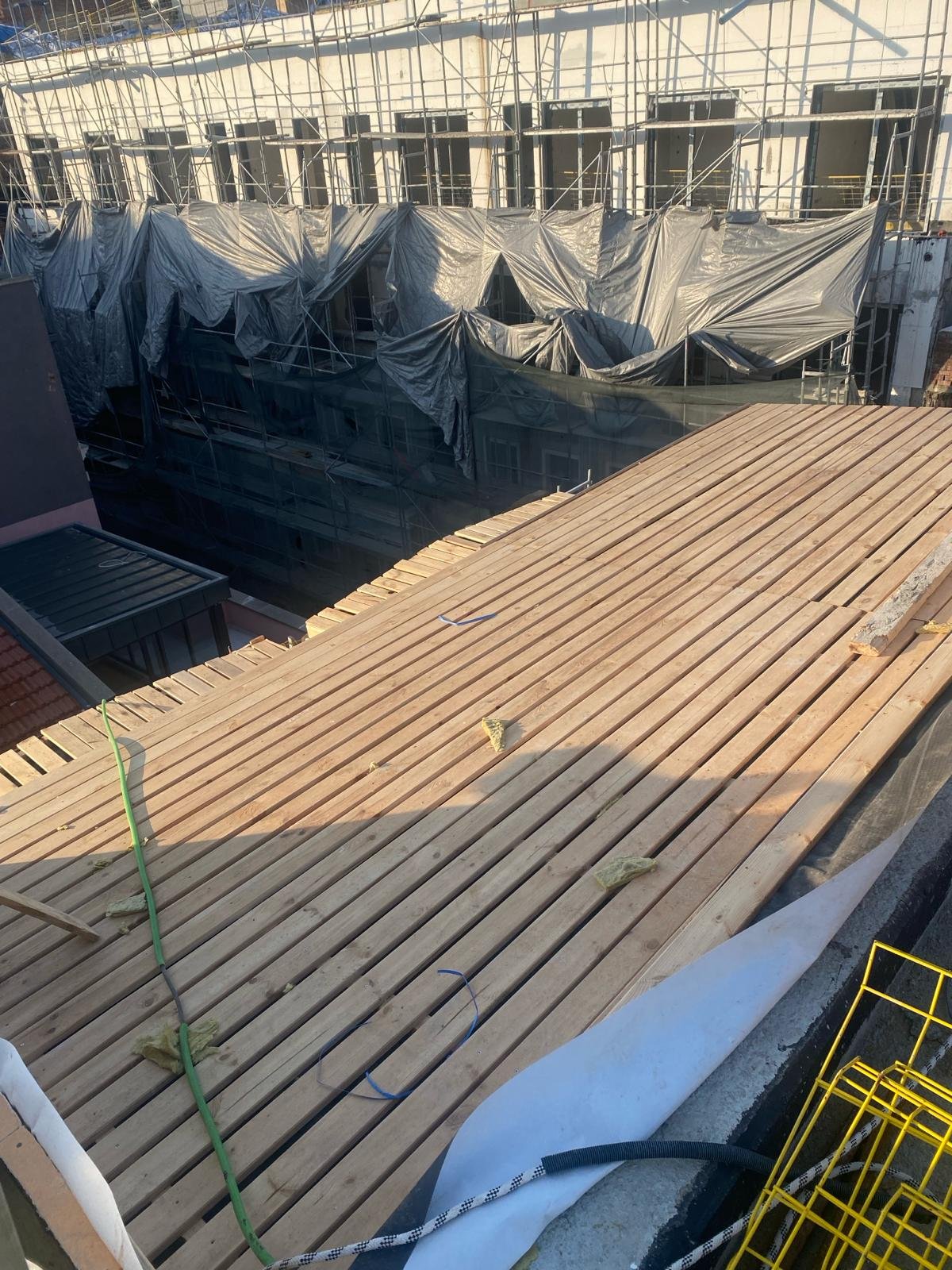 WhatsApp Image 2024-03-12 at 11.11.45 PM (1)