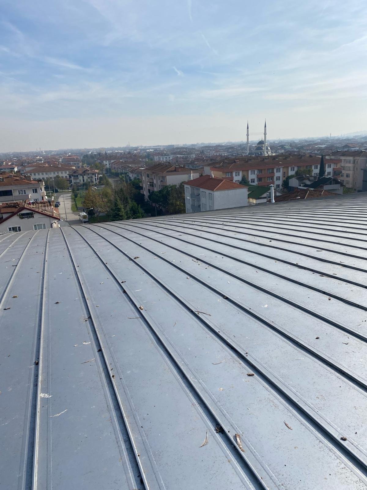 WhatsApp Image 2024-03-22 at 11.41.39 PM (1)