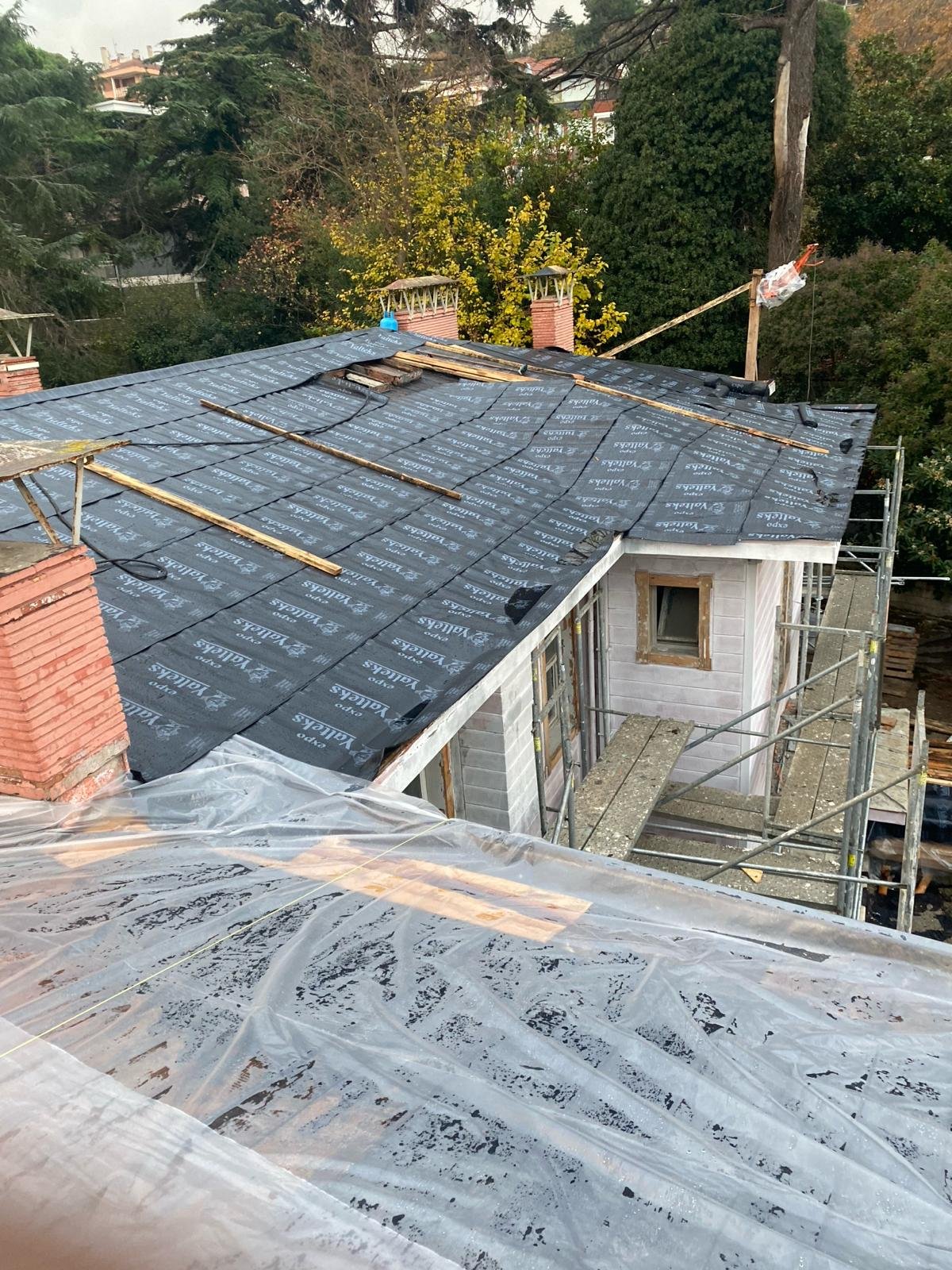 WhatsApp Image 2024-03-23 at 12.01.35 AM