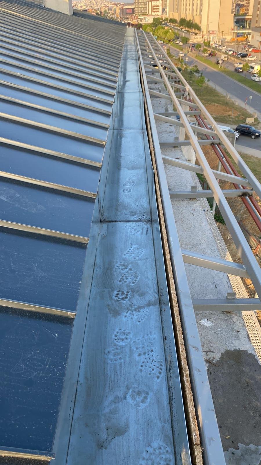 WhatsApp Image 2024-03-28 at 1.40.34 AM (7)